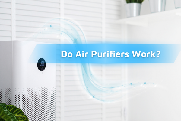 Do Air Purifiers Work?