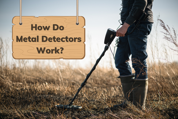 How Do Metal Detectors Work?